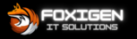 Foxigen IT Solutions